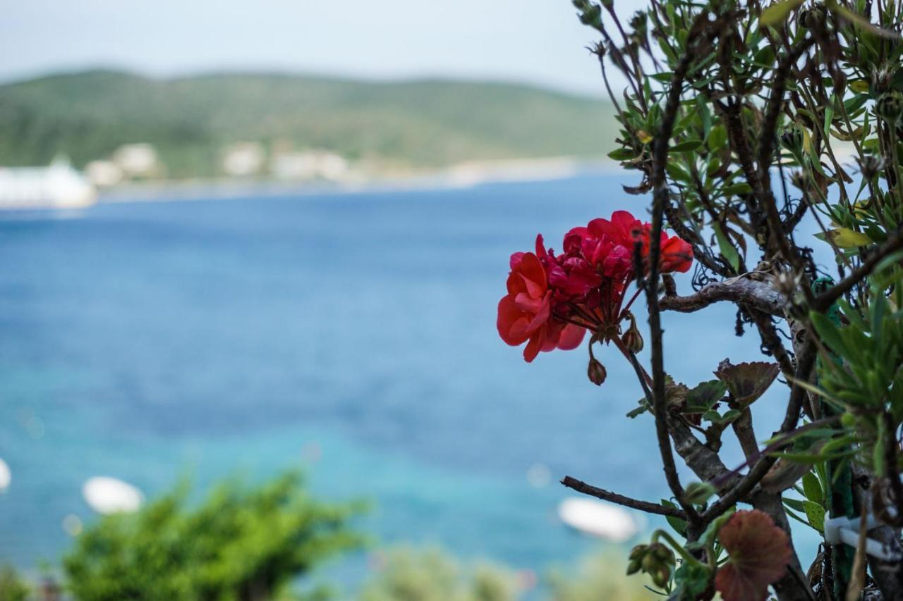 Alexandra'S Glifa Apartments Dış mekan fotoğraf