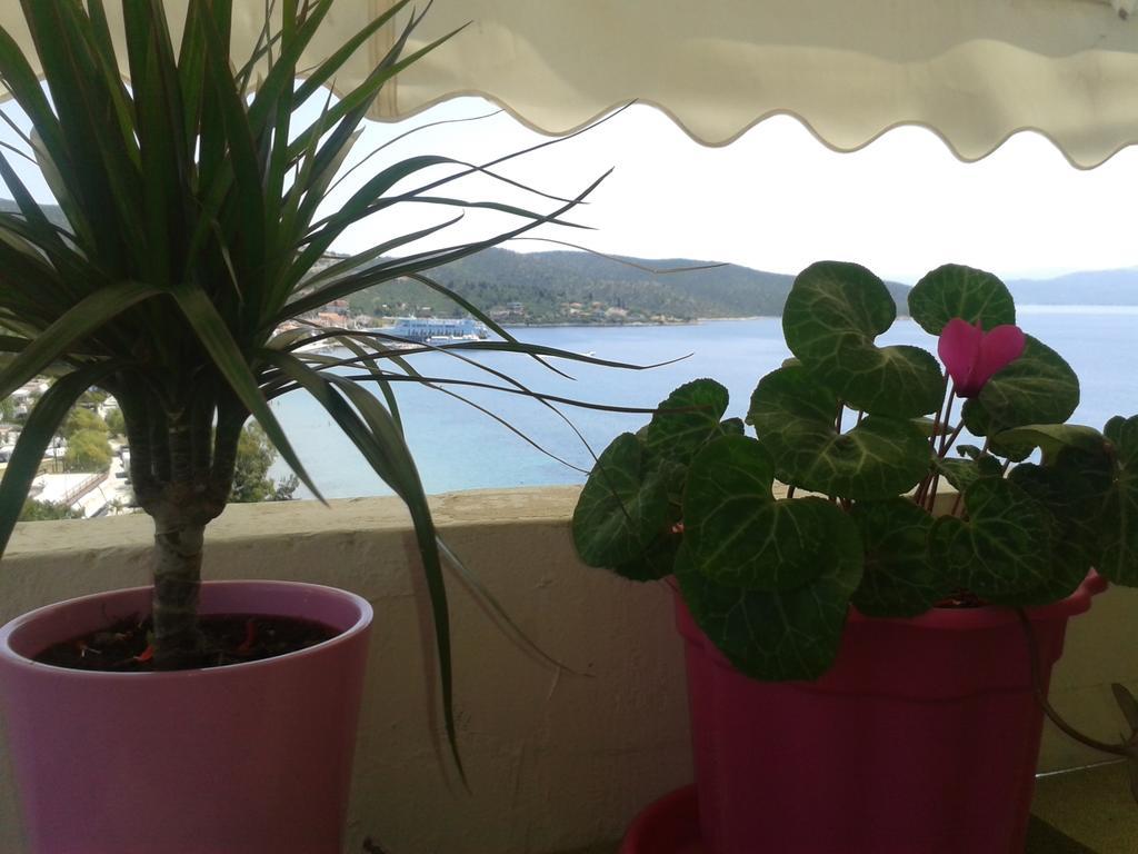 Alexandra'S Glifa Apartments Dış mekan fotoğraf